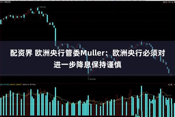配资界 欧洲央行管委Muller：欧洲央行必须对进一步降息保持谨慎