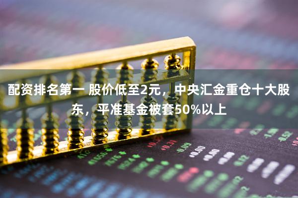 配资排名第一 股价低至2元，中央汇金重仓十大股东，平准基金被套50%以上
