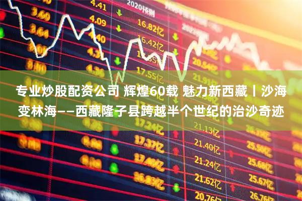 专业炒股配资公司 辉煌60载 魅力新西藏丨沙海变林海——西藏隆子县跨越半个世纪的治沙奇迹