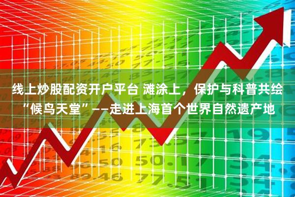 线上炒股配资开户平台 滩涂上，保护与科普共绘“候鸟天堂”——走进上海首个世界自然遗产地