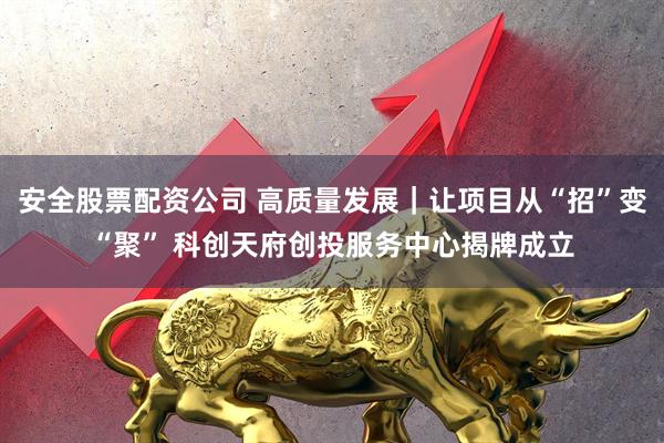 安全股票配资公司 高质量发展｜让项目从“招”变“聚” 科创天府创投服务中心揭牌成立